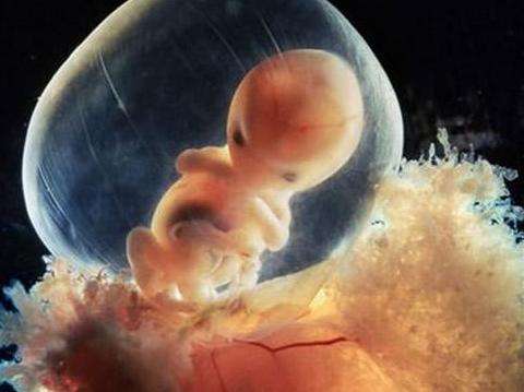 输卵管不通无法受孕