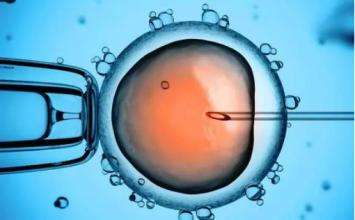 输卵管堵塞会诱发不孕 如何预防输卵管堵塞